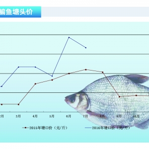 ���~���K�ϟ�ˮ�~���� �r(ji��)���λ�\(y��n)�С�����ˮ�a(ch��n)ǰ�ء�2016��8�¿��Ј�څ��