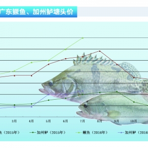 �Z�~�����ֵ؅^���Z����50Ԫ/�����ˮ�aǰ�ء�2016��8�¿��Ј�څ��