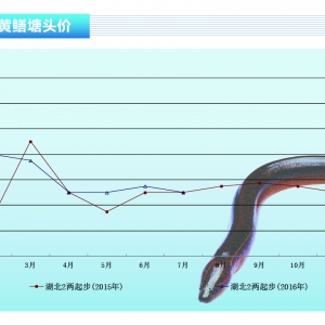 �S�X���ܞ���Ӱ� �~�r�����^�󡪡���ˮ�aǰ�ء�2016��8�¿��Ј�څ��