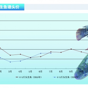 ���~���������~������p �~�r(ji��)څƽ��(w��n)������ˮ�a(ch��n)ǰ�ء�2016��8�¿��Ј�(ch��ng)څ��(sh��)
