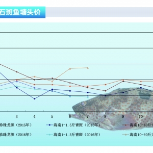 ʯ���~���~�r���� �Bֳ��ϧ��������ء�����ˮ�aǰ�ء�2016��8�¿��Ј�څ��