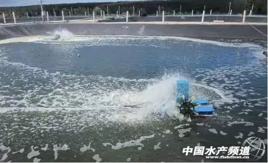 �҂�����������׌��r�Bֳ�л���