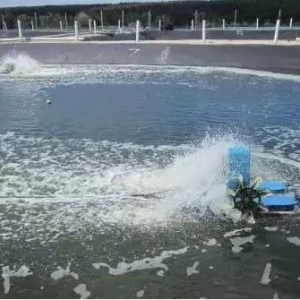 �҂�����������׌��r�Bֳ�л���