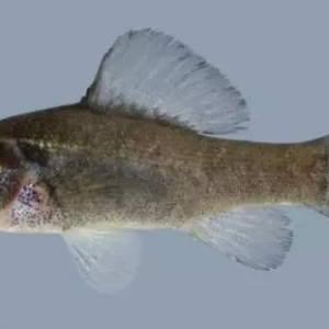 ���I�|�~�����` ���[���Լ��͟o��֮�аѫC��ɵ�