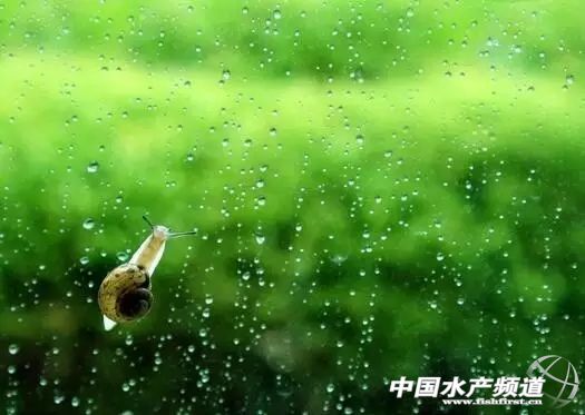 ����槡����籱���Fɽ���B����Ը�᣿�L�{��혵؁��K�Y��ߜ،��½��K�c�׺�����