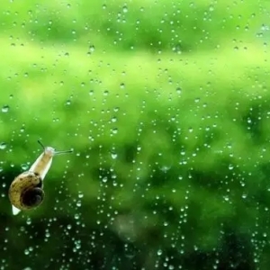 ����槡����籱���Fɽ���B����Ը�᣿�L�{��혵؁��K�Y��ߜ،��½��K�c�׺�����