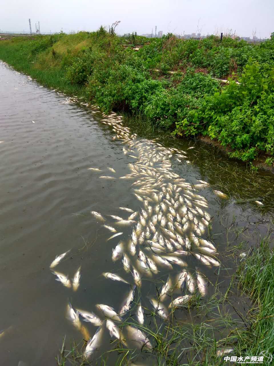 ï��늰׎X�T悰�ҹͣ늣��Bֳ��s�⡰�~��ͣ늲��ޡ��ؑ�������ƃ������C���~