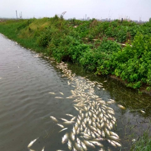 ï��늰׎X�T悰�ҹͣ늣��Bֳ��s�⡰�~��ͣ늲��ޡ��ؑ�������ƃ������C���~