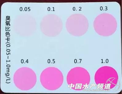 ���������ʯ���~���������@Щ������^һ���`����ˎ