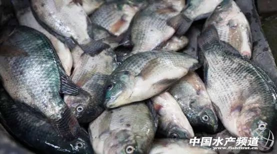 ԭ���~�����½�70%���_���~���ٸ߃r�\��3����