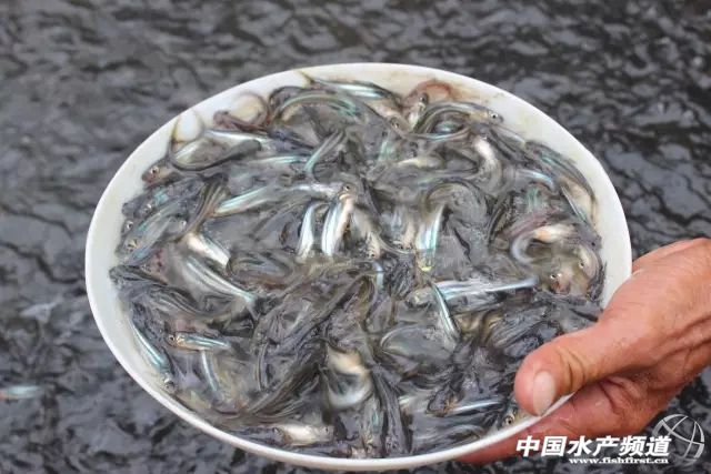 һë����罛�˴ֈ��D�ַ�10���u�����һֱ���ڹ���