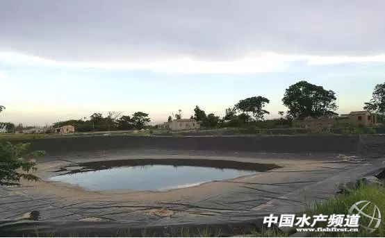 �����r�ɹ���80%�����s�ŗ������r�Bֳ