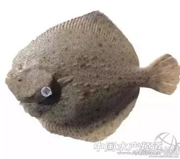 �ϡ��aƷ؟�α��U���Ķ����~�����F���}���M�߿ɫ@�r200-300�����~