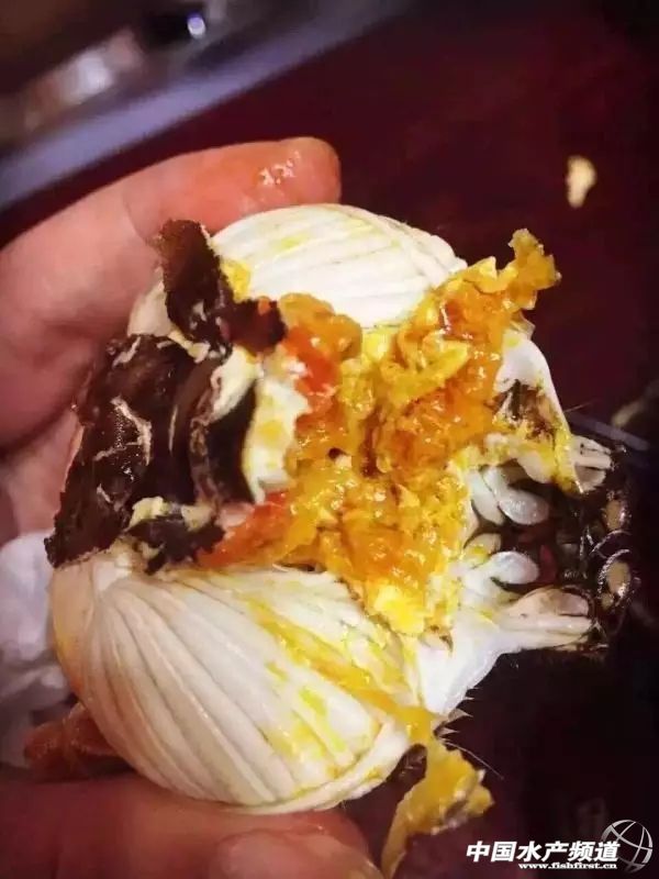 ���ϳ��ڸ�Ҫ����з������ô�B�ɵģ�