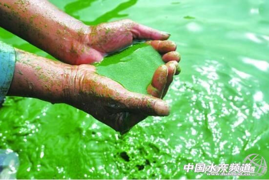 ���{�塱��ǰ������������Ŀ��᣿