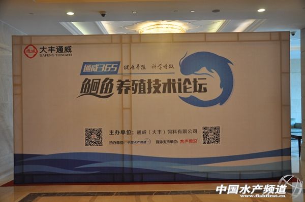 ���Sͨ���e�k�t�~�BֳՓ�����F��ӆ�Ͻ�2000��