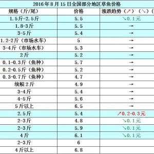 2016��8��15�ղ��~���a�~��������������߅�r