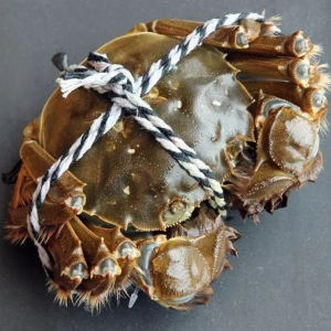 ���Kĸз�_�P�r���_240Ԫ/�ȫ���з�a���½��s20%-30%