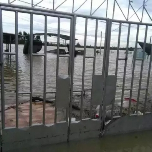 �_�L(f��ng)���ĸ���Ɍ�(sh��)���ɡ�ˮĸ�������ϳɡ�ˮ�ǡ�