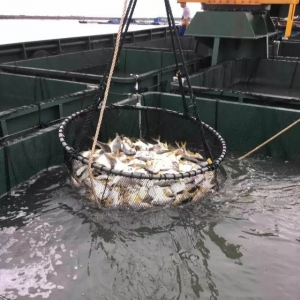 ���K�~�~�r(ji��)���m(x��)���ԣ����и����ݘ��^