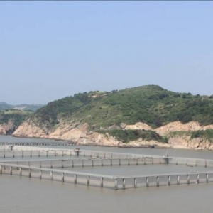 �O�Iǰ�أ����M�������x���Bֳ���W