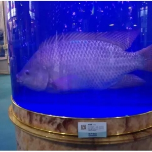 һ��30Ԫ���_���~������ʲô����֮̎��