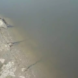 ��ؿ��w�u�������~�Bֳ�������J�^��¶�P