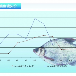 ���~���������� ���ڃr(ji��)��ƽ��(w��n)������ˮ�a(ch��n)ǰ�ء�2016��9�¿��Ј�څ��