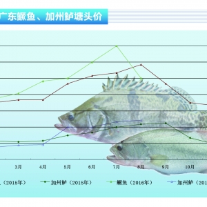 �����|�����~���� �r�񱣳�ƽ��������ˮ�aǰ�ء�2016��9�¿��Ј�څ��