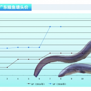 ���~���Ї�(gu��)��ꑮa(ch��n)�r(ji��)���ԟo(w��)���{(di��o)څ��(sh��)������ˮ�a(ch��n)ǰ�ء�2016��9�¿��Ј�(ch��ng)څ��(sh��)