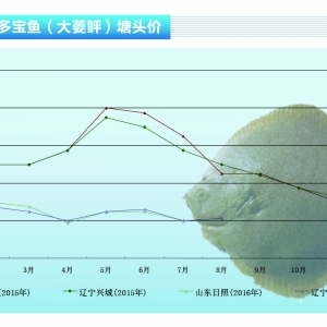 �����ң��r���t�t���ϝq������ˮ�aǰ�ء�2016��9�¿��Ј�څ��