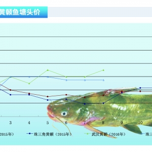 �S��~��9���~�r�^�m���ϝqڅ�ݡ�����ˮ�aǰ�ء�2016��9�¿��Ј�څ��