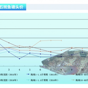 ʯ���~���~�r���m���� �ι����������M������ˮ�aǰ�ء�2016��9�¿��Ј�څ��