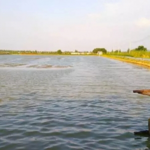 �ߜ��^�󣬺�з�؆�͑��ģʽ��з���Ĺ���Ҫ�c�����R��