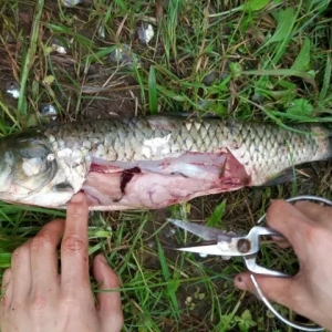 ��ϵ��׺���Խ��Խ�ã�֬���ο��]�^�᣿