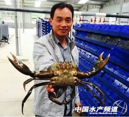 з��Ԣ30ƽ�׾��ܮa��1000���з��