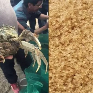 �ߵ��������ʿ�з��ض������º�з�����죿