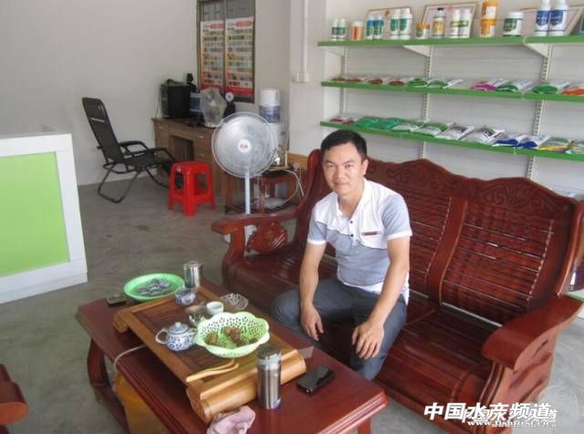  �n�Pӛ | �_�����q��Ҋ�������η���