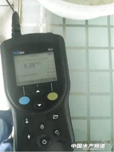 �K�ң��Fɽ��3ǧ���f�l���K�~��ǰ�Y��������80%�~�ſ��䣬�����B�����R���˃ȸ��Bֳ