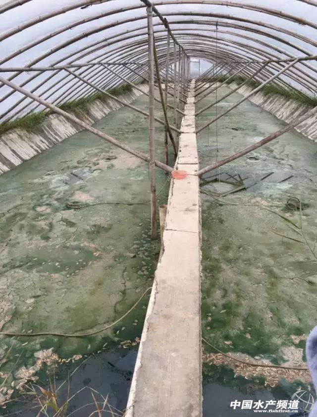 ���Վׂ��P�I�c ���С�����r�Bֳ�ɹ���