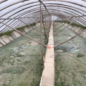 ���Վׂ��P�I�c ���С�����r�Bֳ�ɹ���