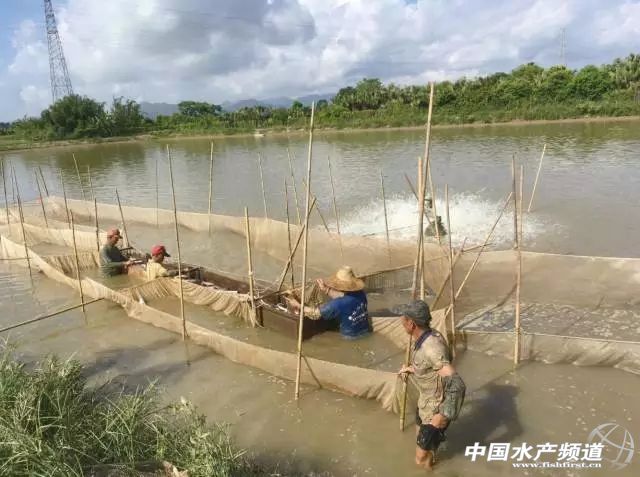 �ߜؼ����������~�P�غͳ��۵��P�I�c����