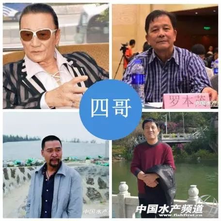 �ױ����������r����ӯ��40�f����ֻ�����@4��