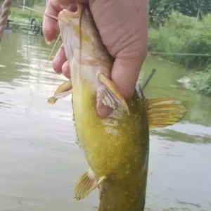 �S��~����r(ji��)��һ���ߣ�