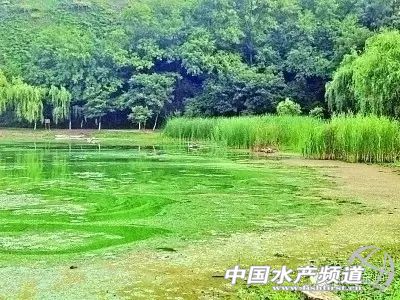 ���мt���Ρ��ױ㡱��������ۡ����Ǵ󷨡����{�壡