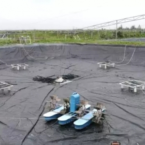 85�ڸ�λ�ط���ӯ����������ڡ���Σ�ИI���з���ǰ��