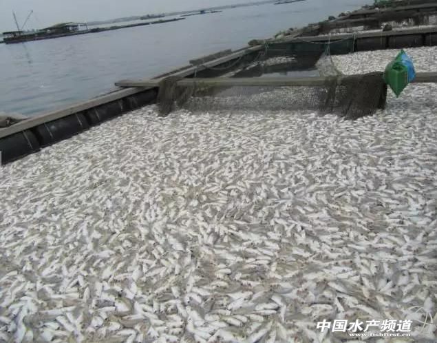 ��˼|�Fɽ�۽��K�~��Ҏģ�����������Ҳ���˵�