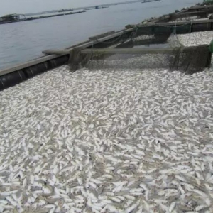 ��˼|�Fɽ�۽��K�~��Ҏģ�����������Ҳ���˵�