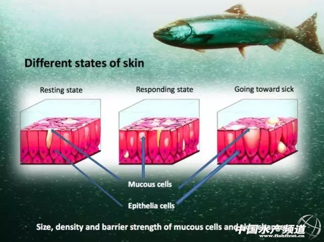 ȫ��ˮ�a�Bֳ�����I�䪄�ҕ�