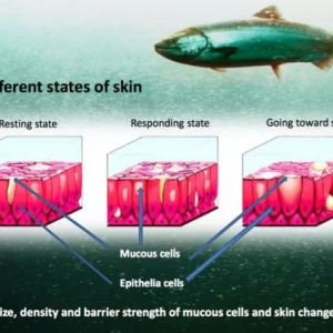 ȫ��ˮ�a�Bֳ�����I�䪄�ҕ�